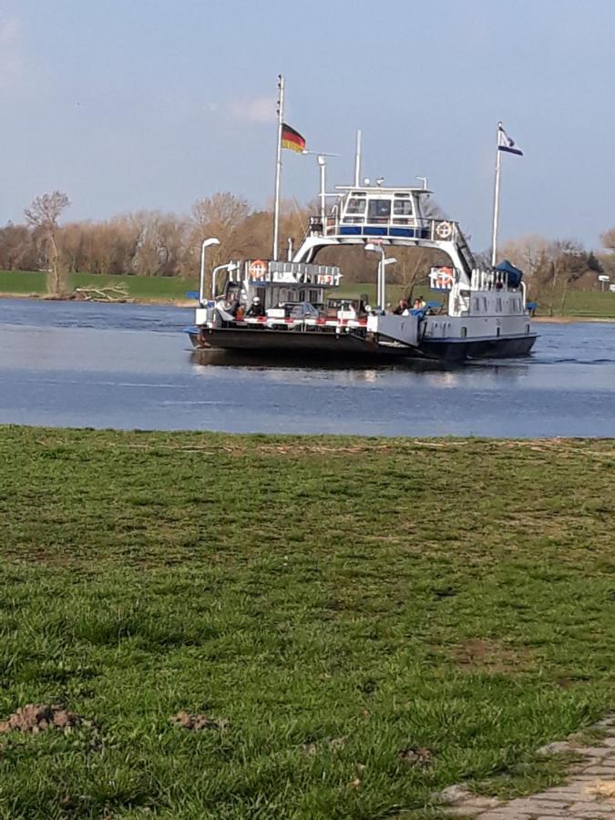Ferienwohnung An Der Elbe 블렉케데 외부 사진
